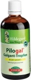 HILDEGARD POSCH Pilogal Galgant Tropfen, 100 ml