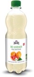 Holderhof Grapefruit Erfrischungsgetränk Bio, 5 dl