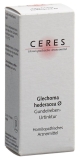 CERES Glechoma hederacea Urtinktur, 20 ml
