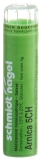 SN Arnica Gran CH 5 4 g