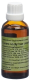 SPAGYROS Cynara scolymus complex Urtinktur, 50 ml