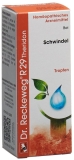 RECKEWEG R29 Theridon gouttes 50 ml