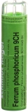 SN Ferrum phosphoricum Gran CH 9 4 g