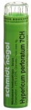 SN Hypericum perforatum Gran CH 7 4 g