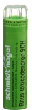 SN Rhus Toxicodendron Gran CH 9 4 g