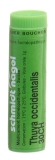 SN Thuya occidentalis Glob CH 30 1 g