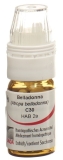 OMIDA Belladonna Globuli C30 mit Dosierhilfe, 4 g