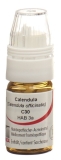 OMIDA calendula glob 30 C a doseur 4 g