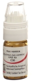 OMIDA nux vomica globules C30 avec doseur, 4 g