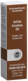 SANUM Grifola frondosa Tropfen D5, 10 ml