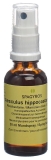 SPAGYROS GEMMO Aesculus hippocastanum Glycerinmazerat D1, 30 ml