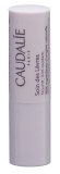 CAUDALIE VINOTHERAPIE Lippenpflege, 4.5 g