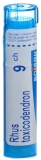 BOIRON Rhus toxicodendron Granulat CH9, 4 g