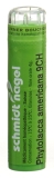 SN Phytolacca americana Gran CH 9 4 g