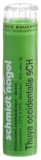 SN thuya occidentalis gran 9 CH 4 g