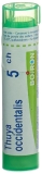 BOIRON Thuya occidentalis Gran CH 5 4 g