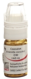 OMIDA Cocculus Glob C 30 m Dosierhilfe 4 g