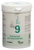 PFLÜGER SCHÜSSLER Nr9 Natr phos Tabl D 6 250 g