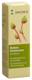 SPAGYROS GEMMO Rubus fruticosus Glycerinmazerat D1, 30 ml