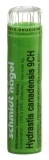 SN Hydrastis canadensis Gran CH 9 4 g