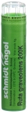 SN Ruta graveolens Gran 200 K 4 g