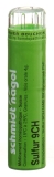 SN sulfur gran 9 CH 4 g