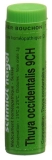 SN Thuya occidentalis Glob CH 9 1 g