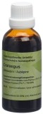 SPAGYROS Crataegus oxyacantha Urtinktur, 50 ml