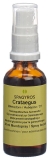 SPAGYROS GEMMO Crataegus laevi Glycerinmazerat D1, 30 ml