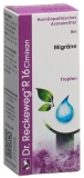 RECKEWEG R16 Cimisan Tropfen Fl 50 ml