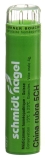 SN China rubra Gran CH 5 4 g