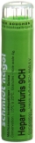 SN Hepar sulfuris Gran CH 9 4 g