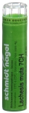 SN lachesis muta gran 7 CH 4 g