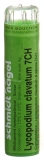 SN Lycopodium clavatum Gran CH 7 4 g
