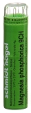 SN Magnesia phosphorica Gran CH 9 4 g