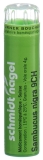 SN sambucus nigra gran 9 CH 4 g