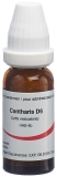 OMIDA Cantharis Glob D 6 14 g