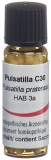 OMIDA Pulsatilla Glob C 30 2 g