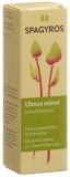 SPAGYROS GEMMO Ulmus minor Glycerinmazerat D1, 30 ml