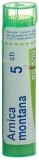 BOIRON Arnica montana Granulate CH5, 4 g