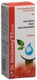 RECKEWEG R2 Aurin Tropfen Fl 50 ml