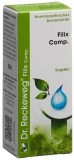 RECKEWEG R56 Filix Comp. Tropfen Fl 50 ml