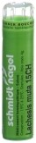 SN Lachesis muta Gran CH 15 4 g