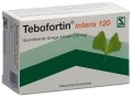 TEBOFORTIN intens 120 comprimés pelliculés 120 mg, 90 pièces