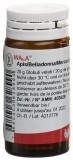 WALA apis/belladonna/mercurius glob 20 g