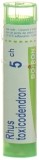 BOIRON Rhus toxicodendron Gran CH 5 4 g