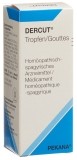 DERCUT gouttes 100 ml
