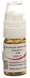 OMIDA Causticum Glob C 30 m Dosierhilfe 4 g
