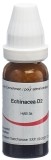 OMIDA echinacea angustifolia glob 2 D 14 g