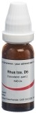 OMIDA Rhus toxicodendron Glob D 6 14 g